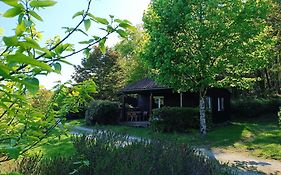 Les chalets de Céleste